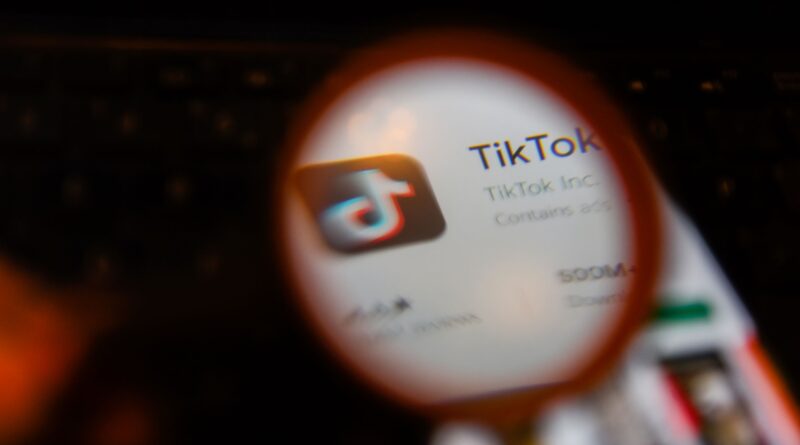 TikTok 养号全攻略：纯净静态代理 IP 的实战价值与操作指南